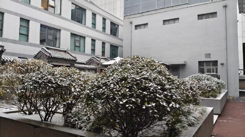 下雪啦
