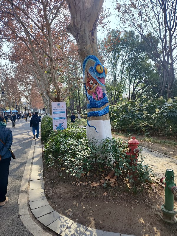 武汉一些照片留念武汉一些照片留念